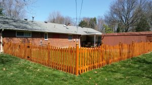 fence staining company